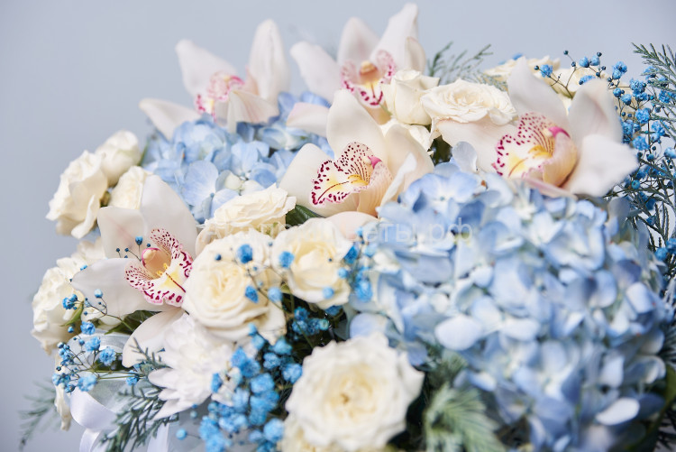 Гортензия и орхидея в голубой коробке 