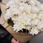 Хризантемы кустовые белые в букете 7 веток