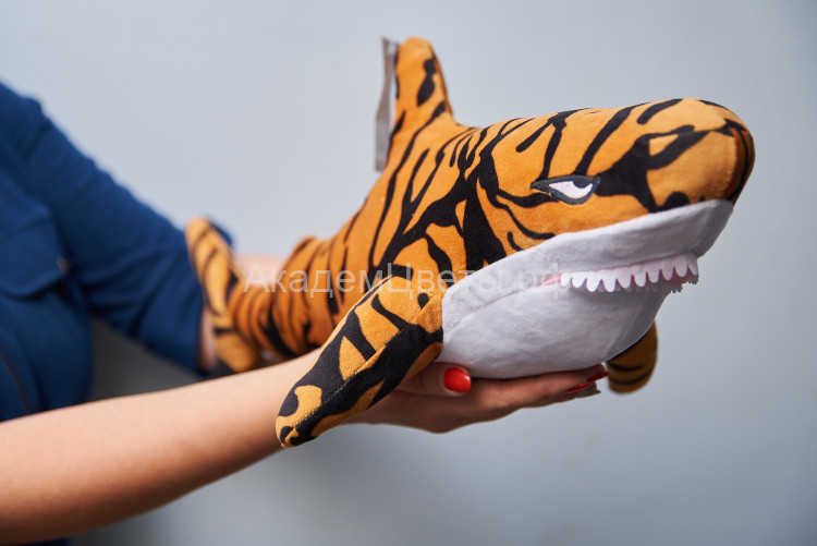 Рыба моей мечты - акула тигровая