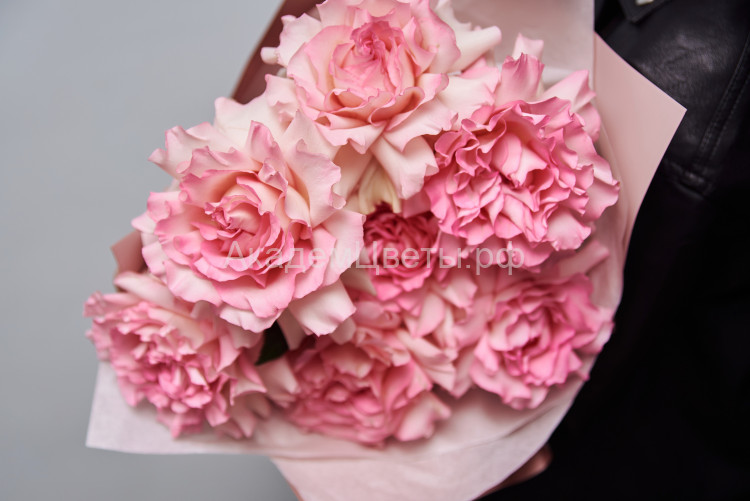 Розы французские 7 штук (розовые)