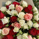 Розы красные, розовые и белые 37