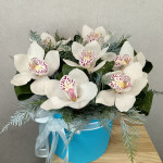 Цветы белой орхидеи в коробке с туей