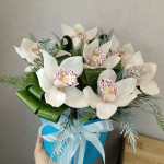 Цветы белой орхидеи в коробке с туей