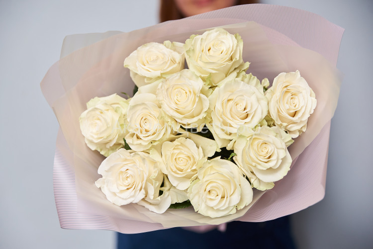 Розы белые 60см сорта Мондиаль