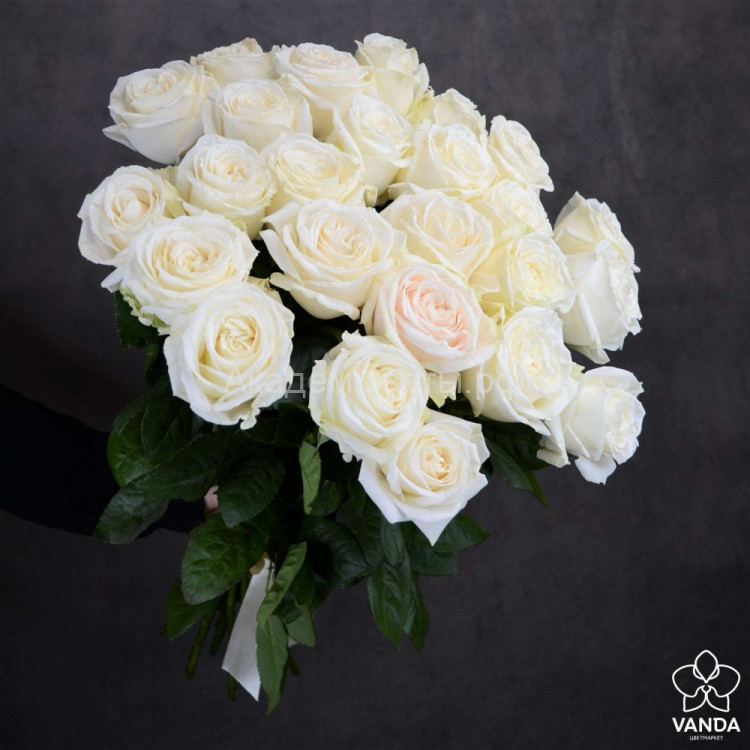 Розы белые Эквадор (60 см)