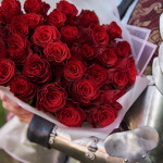 Розы красные 50 см в букете 31 штука