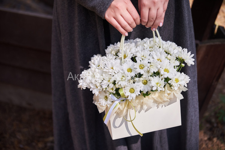 Цветы в сумочке (цветы хризантем в сумочке)