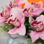 Цветы орхидеи в коробке